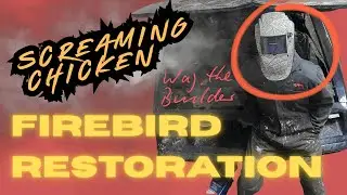 1981 Pontiac Firebird Trans AM Restoration: Come join to see the build and chat!