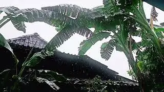 Gentle Rain Over Village Rooftops | Calm Rural Rain Ambience