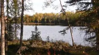 Homes for Sale - 000 Eagle Lake Drive Kenai AK 99611 - Fred Braun