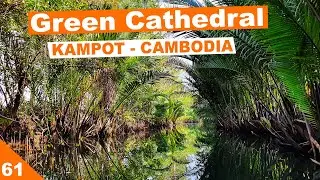 MUST DO IN Kampot Cambodia | Green Cathedral Kayaking