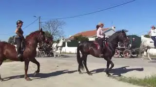 XXII Romaria a Cavalo   Moita » Viana do Alentejo 2024  parte 2