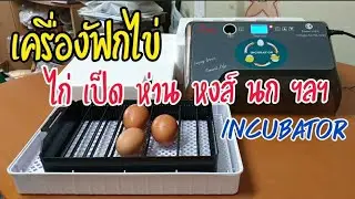 Egg INCUBATOR l เครื่องฟักไข่อัตโนมัติ