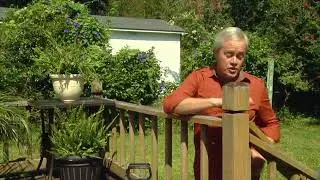 How Long You Should Wait Before Staining a New Deck