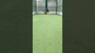 4 or 6 or catch?🎯 #cricket #nets #cricketnets #passion #practice #goal #goviral #trending