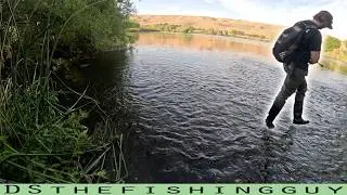 I&rsquo;m Back!!! Can I Catch Fish in Santa Clara&rsquo;s Busiest Percolation Ponds?!