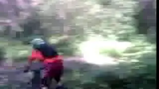 Dahnivka Drop