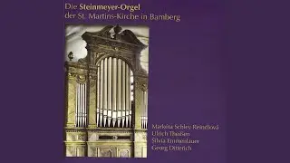 Organ Sonata No. 6, MWV W 61 (Op. 65) in D Minor