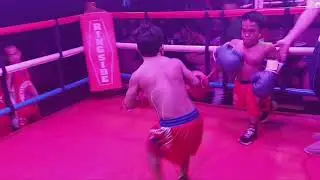 Midget fight like WTF 😂