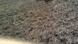 Hay bale rolling breaks fence