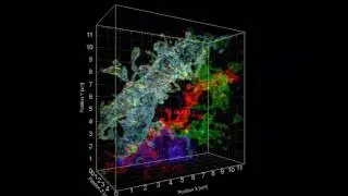 Another 3-D visualization of Brainbow mouse hippocampus showing a branching dendrite