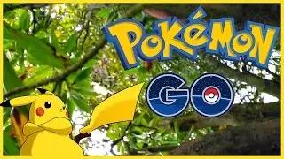 When I play Pokemon GO