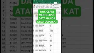 Menghapus Duplikat Data atau Data Ganda di Excel dengan Cepat