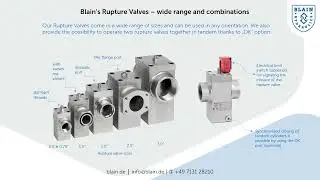 Blain R10 parachute Valves