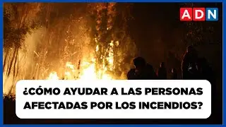 📺 🔴 Biobío: ¿Qué está pasando en los sectores afectados por los incendios forestales?