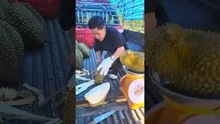 Durian fruit. King of fruits. Pungent smell, banned in public places,rough skin and Super delicious