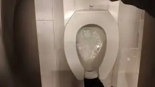 American Museum of Natural History Richard Gilder Center toilets 