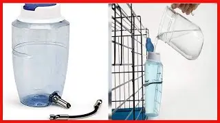 Lixit Top Fill No Drip Water Bottles for Small Animals and Birds  Medium
