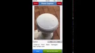 SettleAssist Photos and Captions
