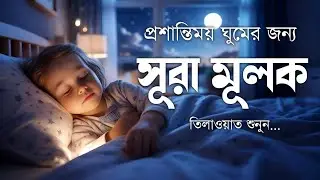 ঘুমানোর পূর্বক্ষণে এই তেলাওয়াত শুনুন সূরা মূলক খুব সুন্দর তেলাওয়াত| Surah Mulk Bangla Shamsul Haque