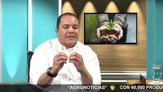 Entrevista Rafael Bueno