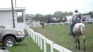 Lakeshore Classic Western Horsemanship