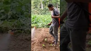 Masand kisan 2in1 Sprayer Machine | Watch full video #agro #sprayerpump #knapsack