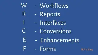 What is WRICEF in SAP?