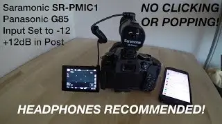 Shotgun Mic Under $50 ---- Saramonic SR-PMIC1 Review on the G85 G80 G81