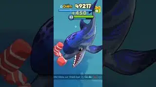 C&aacute; ăn c&aacute; Fish Eat Fish: c&aacute; heo mũi chai loại n&agrave;y dễ chơi nhất ở biển 2 Tasman #games