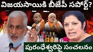 YCP BJP inner Politics: విజయసాయికి బీజేపీ పెద్దల సపోర్టు? | పురంధేశ్వరిపై సెన్సేషనల్! | AP 175