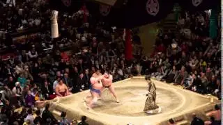 Zumo Wrestling