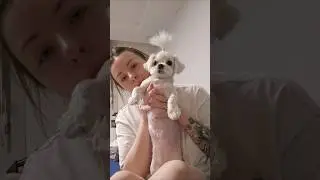 третий день на антидепрессантах