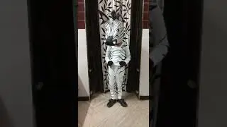 ZEBRA Wild Animal Fancy Dress Competition