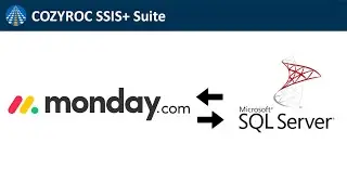 Monday.com &harr;️ SQL Server integration. Connection to Monday CRM, Read, Write data to SQL Server.