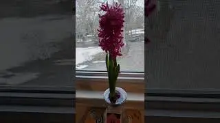 Labihay L is live! 1/24/26 Happy Saturday Everyone!