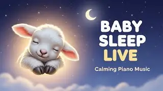 Live 24/7 - Super Relaxing Baby Music ♥♥♥ Bedtime Lullaby For Sweet Dreams ♫♫♫ Sleep Music
