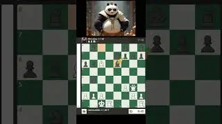 Panda Gambit Brilliance #chess #chessgame