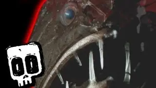 Deadliest Deep Ocean Predators #10 | BBC Earth Explore