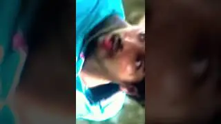 Vijay#66 Varisu Trailer