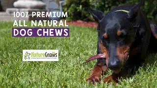 Nature Gnaws Beef Jerky Chews Available on Chewy