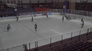 Amsterdam Tigers - Dordrecht Lions | 02-03-2024, 17:45 | Play-offs Eredivisie