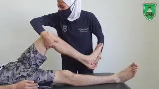 ROM комбинированное сгибание и разгибание бедра и колена