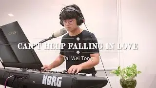 Can't Help Falling In Love (Cover)
