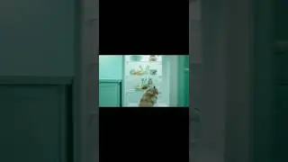 Mint Choco Time with tiny hamster : No talking ASMR