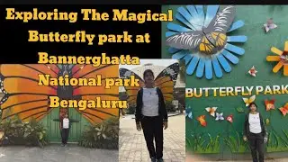  🦋 Exploring the Magical Butterfly park at Bannerghatta National park | Bengaluru 