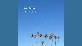 Raouf Beats - Sunshine Everywhere