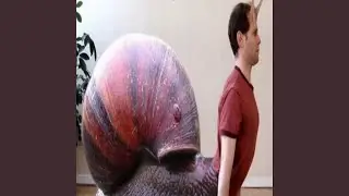 slug love