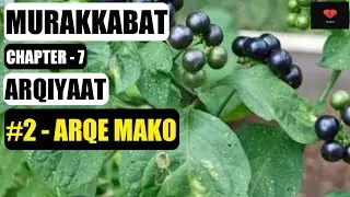 ARQE MAKO | MURAKKABAT | Chapter - 7 | ARQIYAAT | BUMS 3rd Prof. | Preparation | Uses | Dose.