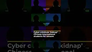I criminali informatici 