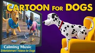 Dog Cartoon: Ultimate Videos Entertain & Anti-Anxiety for Dogs to Watch Home Alone - Relaxing Music